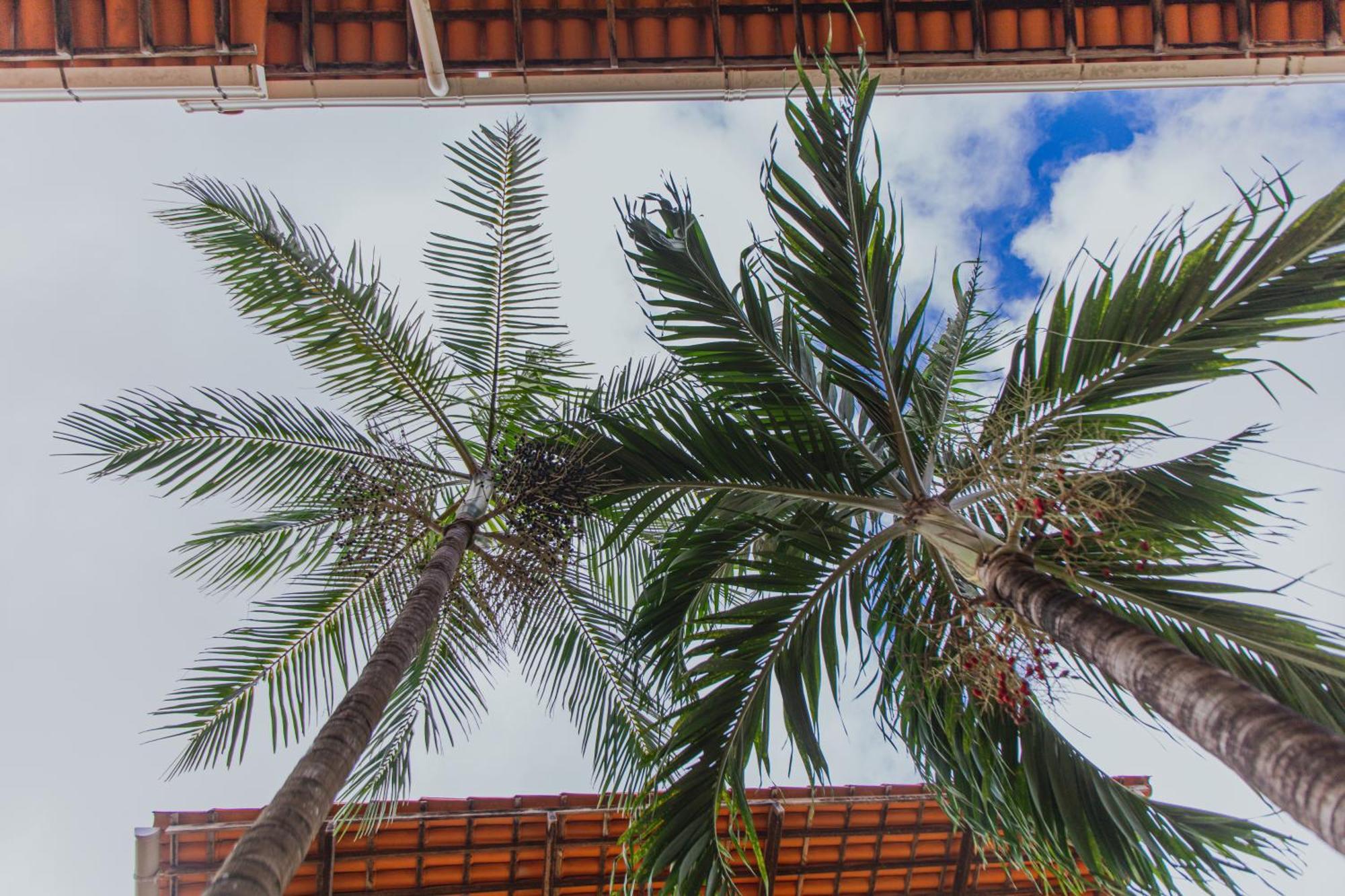 Pousada D' Areia Barreirinhas Bagian luar foto